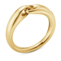 Ring Gult gull