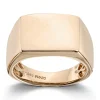 Ring Gult gull