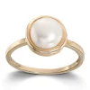 Ring Gult gull