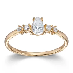 Ring Gult gull