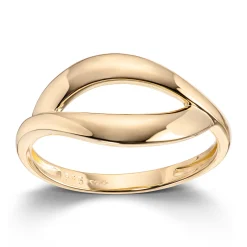 Ring Gult gull