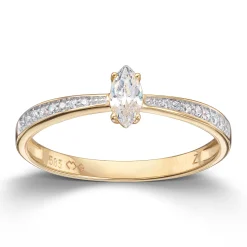 Ring Gult gull