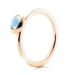 Ring Gult gull