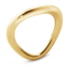 Ring Gult gull