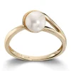 Ring Gult gull