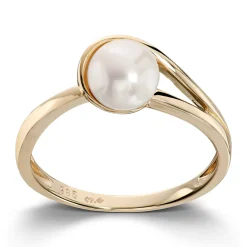 Ring Gult gull