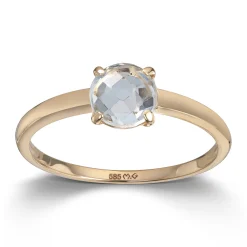 Ring Gult gull