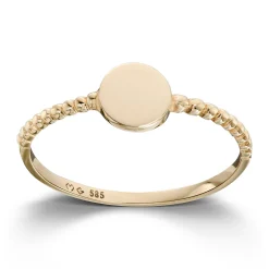 Ring Gult gull