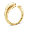 Ring Gult gull
