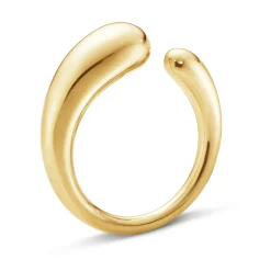 Ring Gult gull
