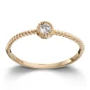 Ring Gult gull