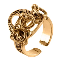 Ring Sølv