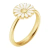 Ring Sølv